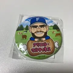 ファイターズ 北海道肉祭り 2025 缶バッチ アリエルマルティネス