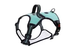 Item thumbnail for item a5b3e1cc-f022-4a0d-afa1-9c30780ca8bd