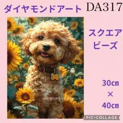 DA317★ダイヤモンドアートキット★スクエアビーズ