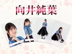 櫻坂46 向井純葉　4th ARENA TOURライブ衣装　コンプ