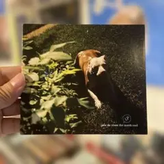 jude de vivre / the north end CD