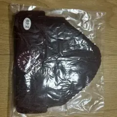 Item thumbnail for item e4eabd8c-489d-45b6-9064-45b6679124fa