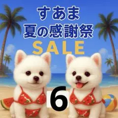 ✨夏の感謝祭セール✨パネル【Ｎｏ．6】