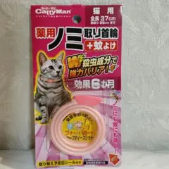 Item thumbnail for item 93b162d4-bbf7-4a9b-925c-2c85d4b04d07