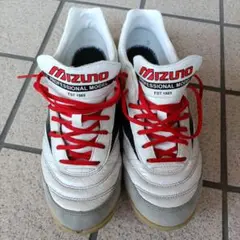 MIZUNO　モレリアtr 27.0