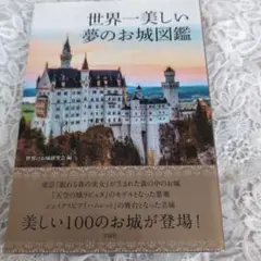 世界一美しい夢のお城図鑑
