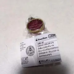 仮面ライダー　めじるしアクセサリー2　タカメダル