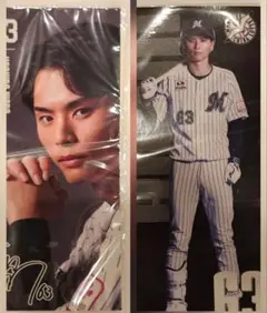 千葉ロッテマリーンズ 和田康士朗 選手フォトシール