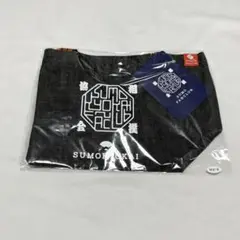 Item thumbnail for item aa79b3bc-9aa1-4ef5-8a77-aae8c63c1345
