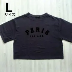 AQUAHISTORY PARIS クロップドTシャツ Lサイズ ダークグレー