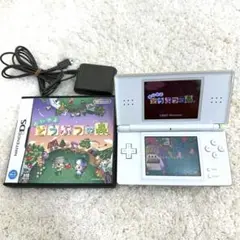 NintendoDS Lite本体＋おいでよどうぶつの森ソフトセット