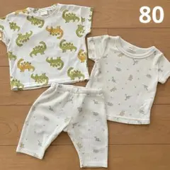 恐竜柄　半袖Tシャツ　パジャマ　3点セット　80