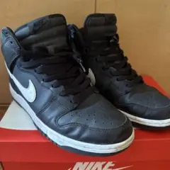 DUNK HIGH