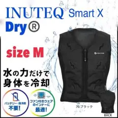 Item thumbnail for item ceff49a8-5268-4dbd-a001-98cfca7346bd
