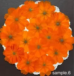 オレンジコスモス☆押し花素材☆花材