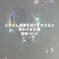 メガネ置き 専用ページ 白柴ちゃん