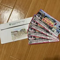 城島高原パーク 無料入園券 大分県 ジェットコースター