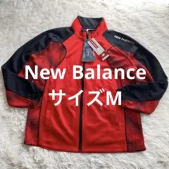 Item thumbnail for item e129c5d1-4f8a-4ffa-9f0b-98218051e7a6
