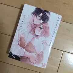 今日も君と、はじめての僕を