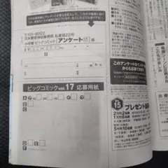 ビッグコミック追加分
