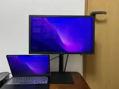 LG UltraFine 4K Display 21.5インチ