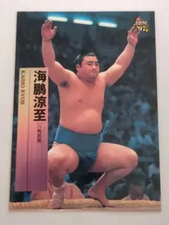 海鵬涼至 トレーディングカード BBM 1997