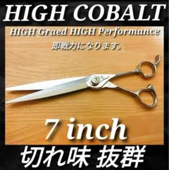Item thumbnail for item 7c676570-cc9f-4b2a-bb30-08e9e95df2e7