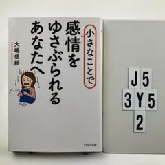 小さなことで感情をゆさぶられるあなたへ J5-3Y52