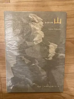 【匿名配送】田淵行男 蝶の細密画 複写色紙 匿名配送】田淵行男 蝶の細密画 複写色紙 - メルカリ
