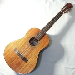 2025年最新】samick ミニギターの人気アイテム - メルカリ
