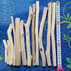 Item thumbnail for item 0b2b5519-e6b9-441e-beb4-7d3924914cf6