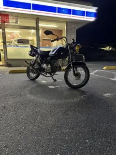 m50628137163_1.jpg?1746283460