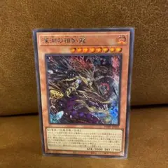 遊戯王 深淵の相剣龍 シークレット