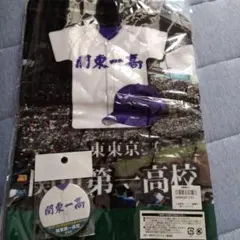 関東一高 野球部ユニフォーム 関東第一高校 野球部 公式戦ユニフォーム
