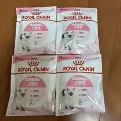 Item thumbnail for item b165b8fd-c0ba-4f63-9463-bf3fe0b25a42