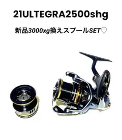 21 アルテグラ 2500shg