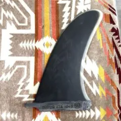 DRD4 FIN ジョエル チューダーフィン
