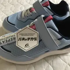 Item thumbnail for item 62ca20ac-92ac-4665-9629-017546570867