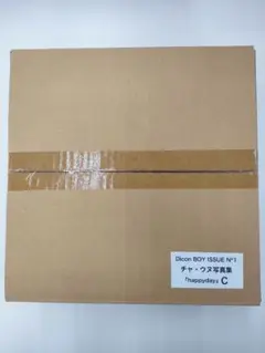 【未開封品】Dicon BOY ISSUE N1 チャウヌ写真集 C-type