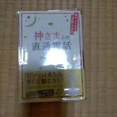 神さまとの直通電話 運がよくなる《波動》の法則キャメレオン竹田