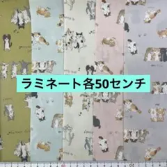 ⭐️大処分祭Jセット ラミネート生地 選べません 同封不可