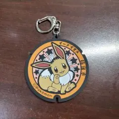 ポケモン ポケふた 鹿児島県 缶バッジ 8種セット ニンフィア リーフィア ポケモン ポケふた 鹿児島県 缶バッジ 8種セット ニンフィア