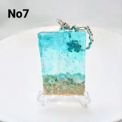 小さな海 海亀 サンゴ砂 ヒトデ No7