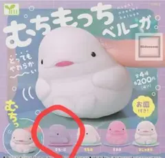 むちもっちベルーガ　ぎもーぶ