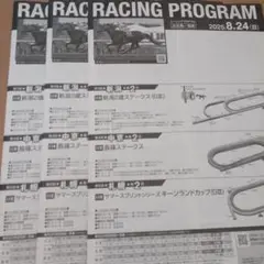 8/24 JRA レーシングプログラム