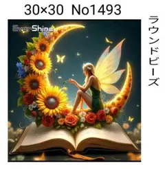 ダイヤモンドアートキット　No1493