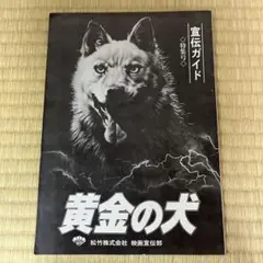 s.59.松竹映画宣伝ガイド特集、黄金の犬 、復讐するは我にあり