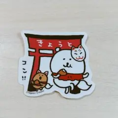 自分ツッコミくま もぐコロ ご当地 京都 限定 ステッカー 新品