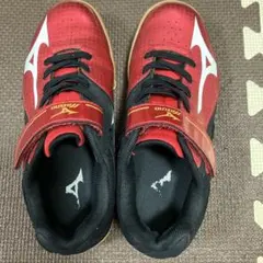 Item thumbnail for item a6b0d332-4d46-4f90-986a-f6227e0a9f13