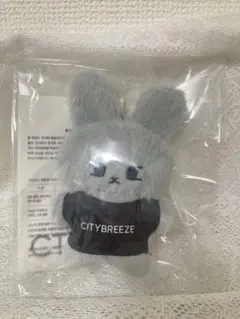 2025年最新】citybreeze ドヨンの人気アイテム - メルカリ